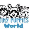 Tiny Puppies