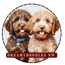 dreamydoodles