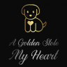 GoldensStoleMyHeart