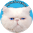 mycutelovelypets