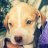 Puppys2love4ever