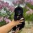 Waggingtailsfarm