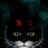 Catloverx