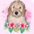 bruzeberrygoldendoodle