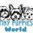 Tiny Puppies