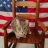 Tomlinson'sWCCatRescue