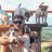 Animal_Friend